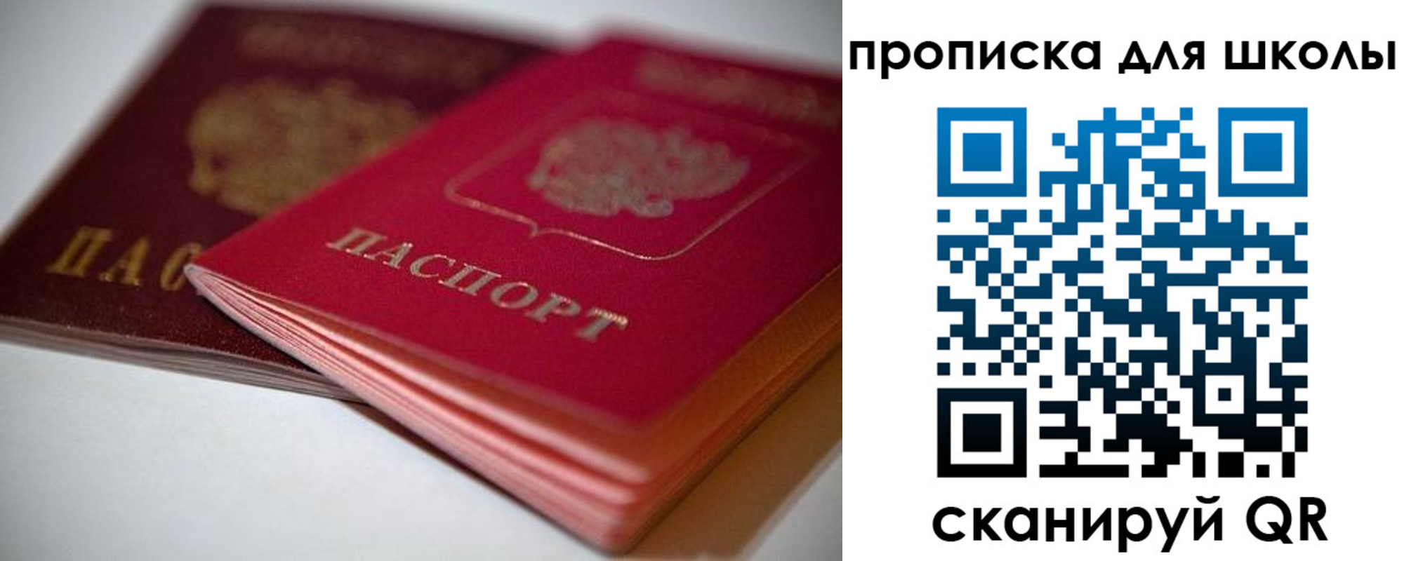 прописка для школы в Новгородской области
